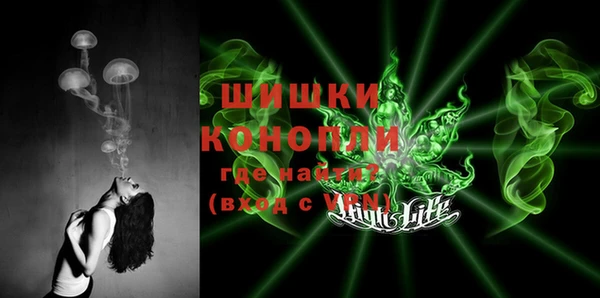 гашик Коряжма
