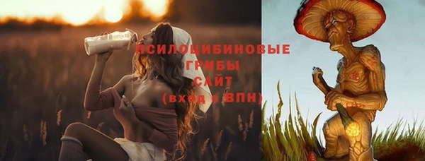 сатива Гусь-Хрустальный