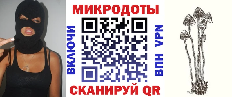 хочу   Оренбург  Псилоцибиновые грибы мухоморы 